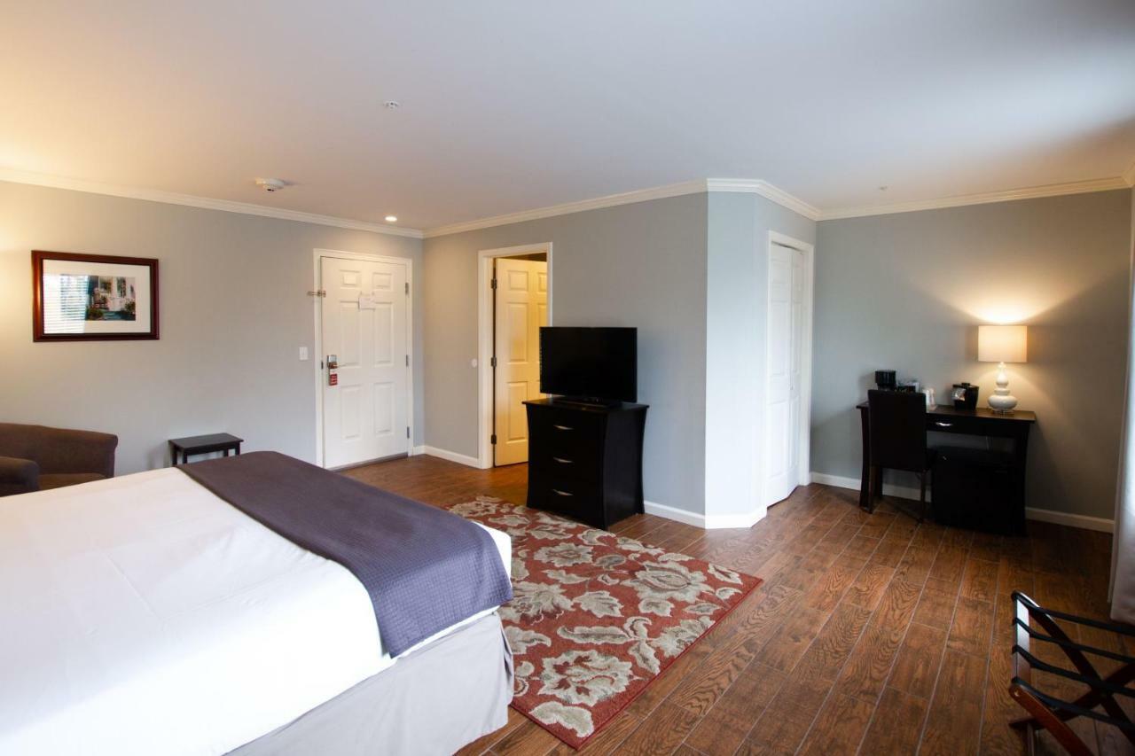 Standard King Room,782276574:JPEG